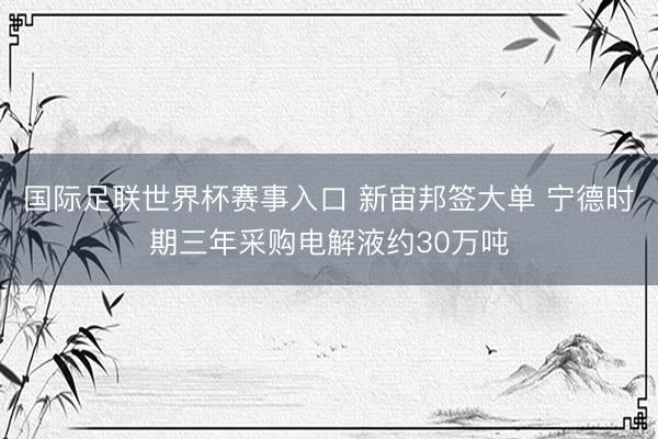 国际足联世界杯赛事入口 新宙邦签大单 宁德时期三年采购电解液约30万吨