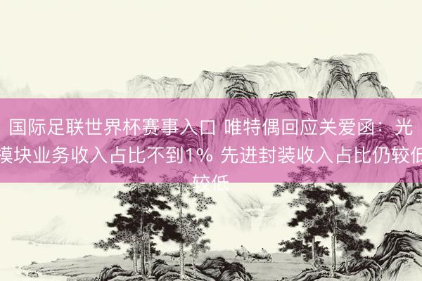 国际足联世界杯赛事入口 唯特偶回应关爱函：光模块业务收入占比不到1% 先进封装收入占比仍较低