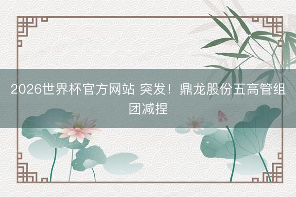 2026世界杯官方网站 突发！鼎龙股份五高管组团减捏