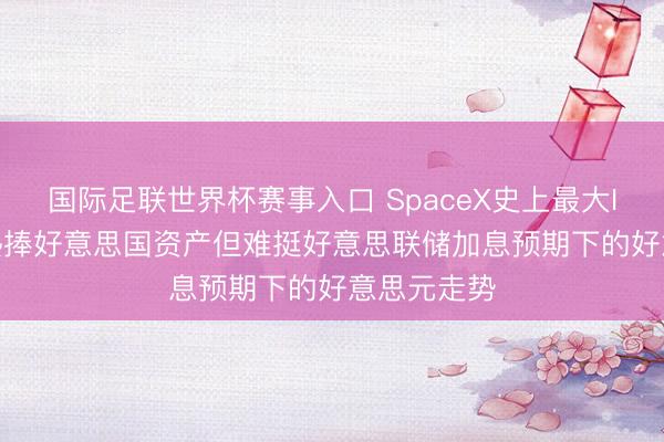 国际足联世界杯赛事入口 SpaceX史上最大IPO: 外资热捧好意思国资产但难挺好意思联储加息预期下的好意思元走势