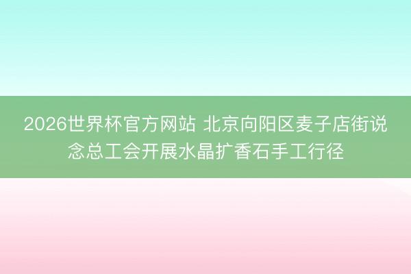 2026世界杯官方网站 北京向阳区麦子店街说念总工会开展水晶扩香石手工行径