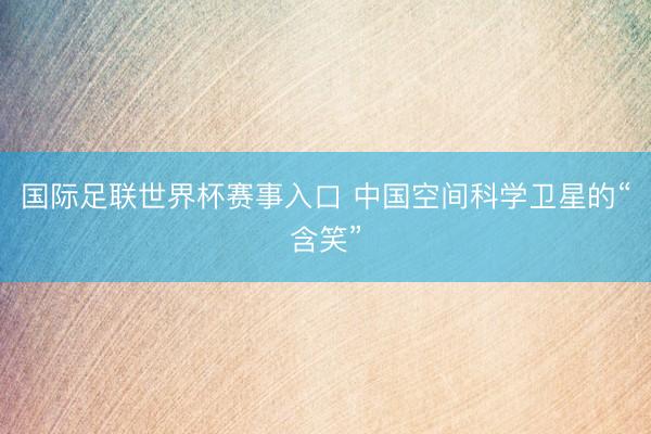 国际足联世界杯赛事入口 中国空间科学卫星的“含笑”